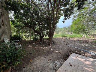 Casa rural en venta en Alguazas