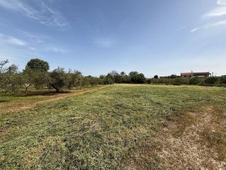Casa rural en venta en Alguazas