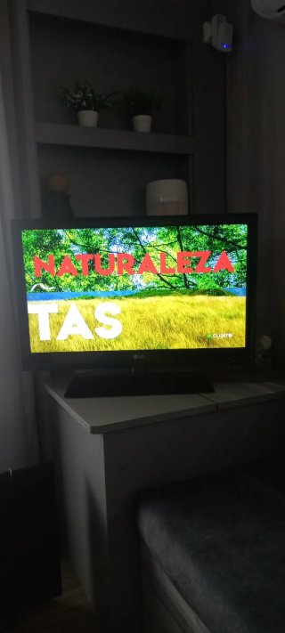 Televisor LG 32 pulgadas más TV OKI 14 pulgadas