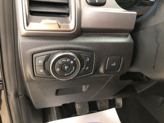 FORD Ranger 2.0 Ecob 125kW 4x4 Dob Cabina Limited AT