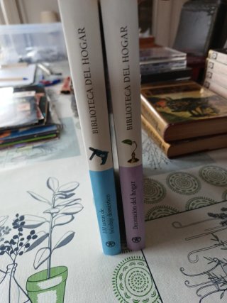 Libros bricolaje y decoración