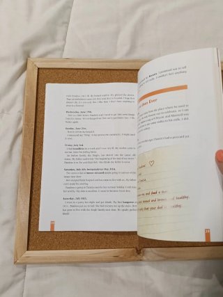 The Secret Diary of Adrian Mole