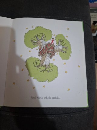 El petit princep per a petits lectors