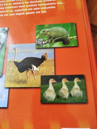 Un libro de enciclopedia de animales