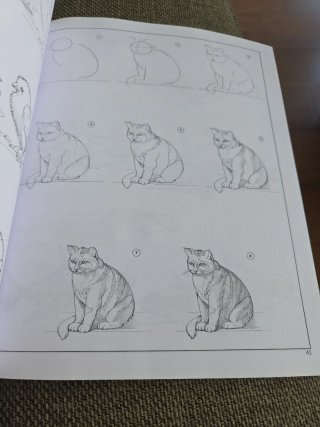Cómo dibujar 101 proyectos paso a paso