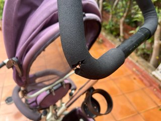 Triciclo Evolutivo Morado