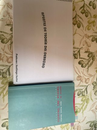 Apuntes de Teoría del Derecho Luis Prieto Sanchís
