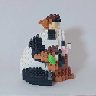 Costruzione Panda da Collezione