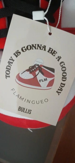 Zapatillas de casa Flamingueo