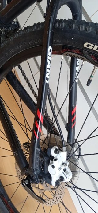 Bicicletta Giant Talon Nera