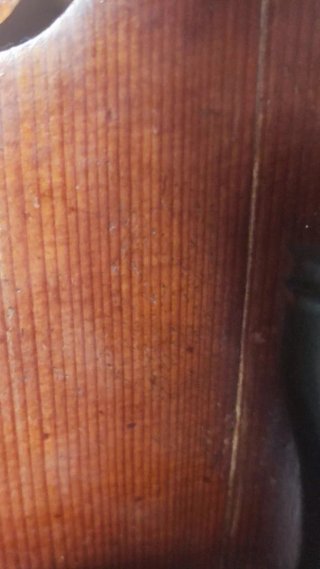 Violín antiguo 4/4 siglo XIX