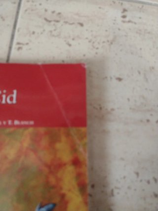 El Cid