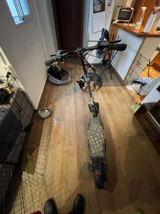 Patinete Eléctrico DGT Certificado - SMARTGYRO -