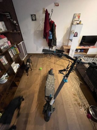 Patinete Eléctrico DGT Certificado - SMARTGYRO -