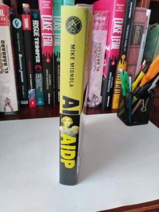 Aidp Integral 6