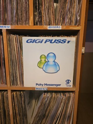Gigi Pussy - Poky Messenger Vinyl
