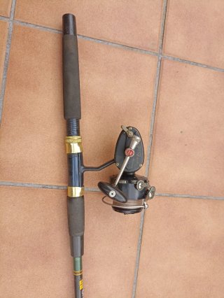 Caña de pescar con carrete