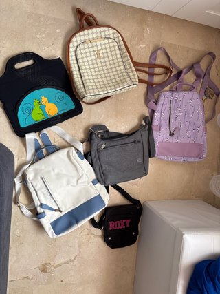 Lote de 6 bolsos variados