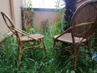 Sillas vintage de bambú y mimbre (2 unidades)