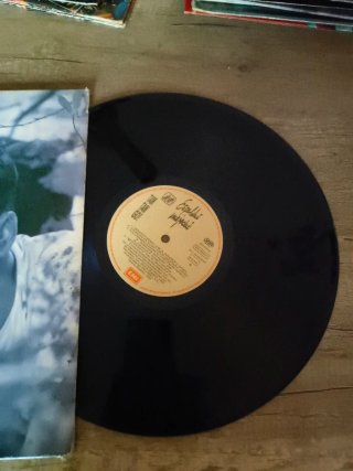 Vinilo Tam Tam Go! Espaldas Mojadas
