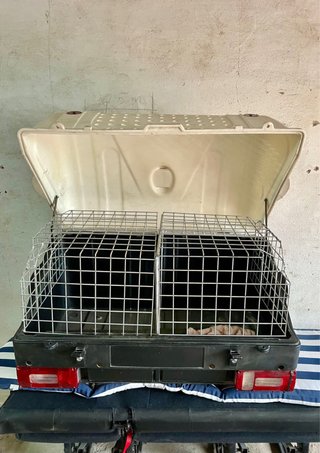Remolque para perros con antena
