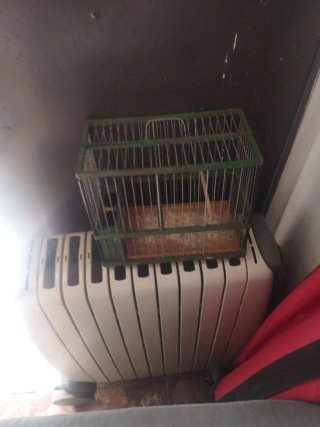 Jaula para pájaros reclamo