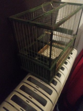 Jaula para pájaros reclamo