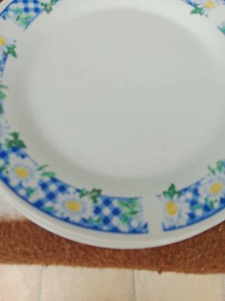 6 Platos de Porcelana con Flores llanos ,