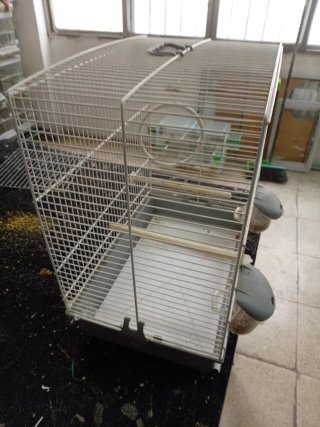 Jaula agapornis, periquitos canarios etc