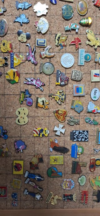 Lote de pins variados