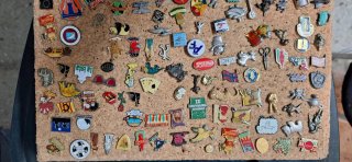 Lote de pins variados