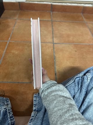 Un Desastre de Cumpleaños