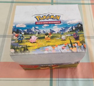 Caja de 10 Minilatas Vacías Héroes Ascendentes Pok