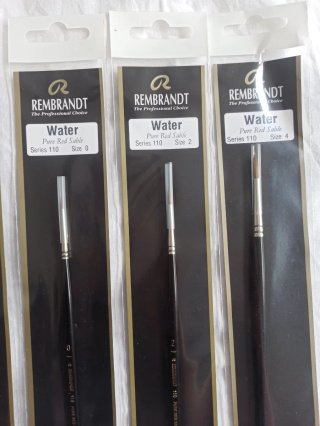 6 Pinceles Rembrandt Water Serie 110