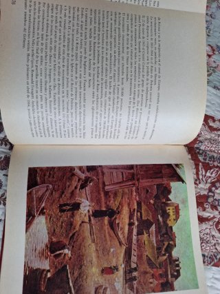 Libro la Polonia Milenaria