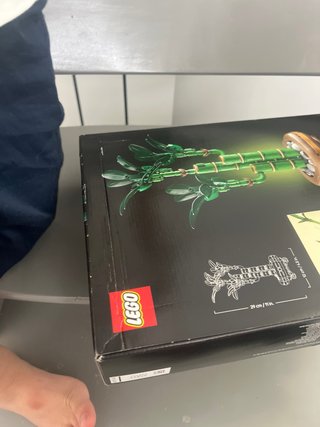 LEGO Botanicals Lucky Bamboo 10344