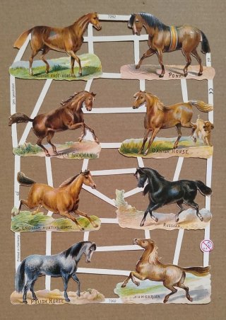 Lámina Cromos troquelados EF caballos vintage