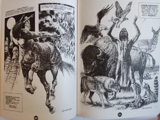 Cómic Etnocidio (Luis García)