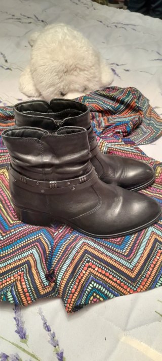Botines de piel negros mujer talla 39