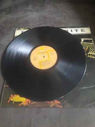 Frank White Nice To Be On Your Show Vinilo