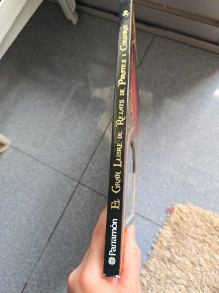 El gran llibre dels pirates i corsaris
