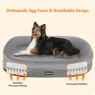 Cama ortopédica cómoda lavable gris
