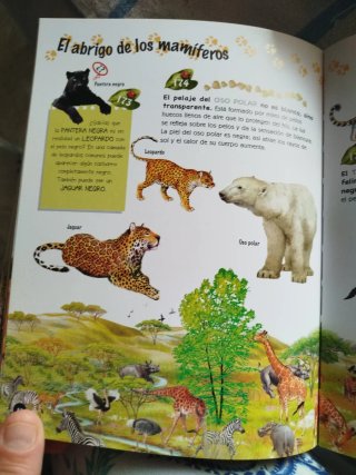 500 preguntas y respuestas sobre los animales
