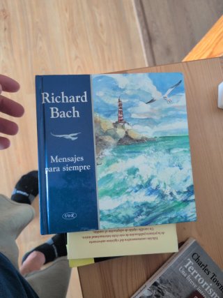 Lote libros . Roth ,  murakami...