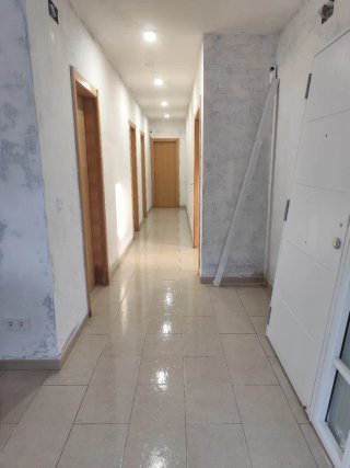 Paleta profesional