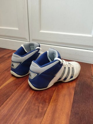 Zapatillas basket vintage
