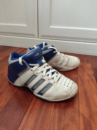 Zapatillas basket vintage