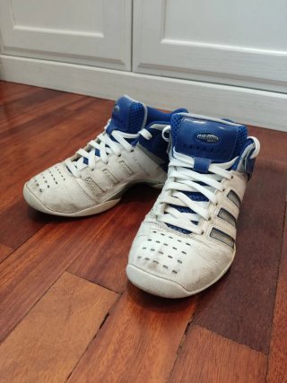 Zapatillas basket vintage