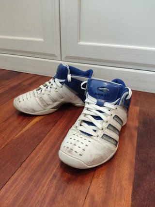 Zapatillas basket vintage