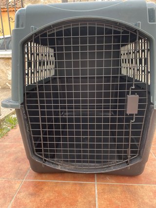 Transportín perro mediano: Setter, Labrador